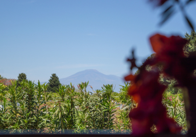 Casa Vacanze Appartamento Alloro